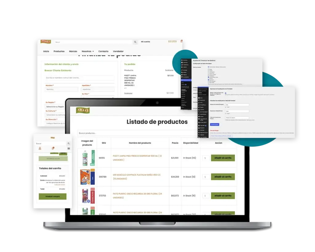 Proyecto ANAES 4